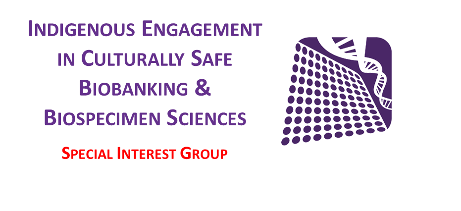 IECSB SIG Logo4